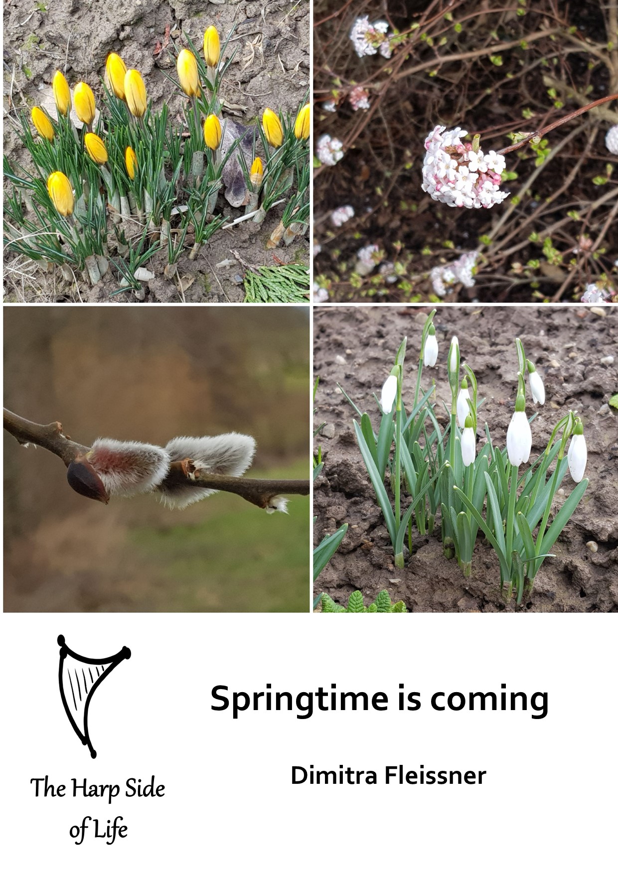 Springtime is coming