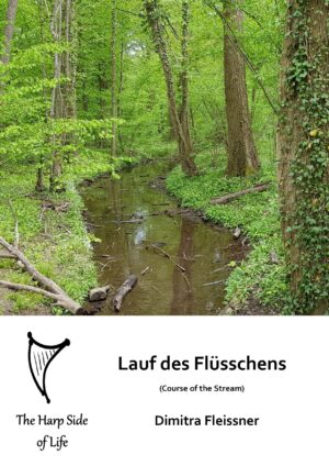 Lauf des Flüsschens
