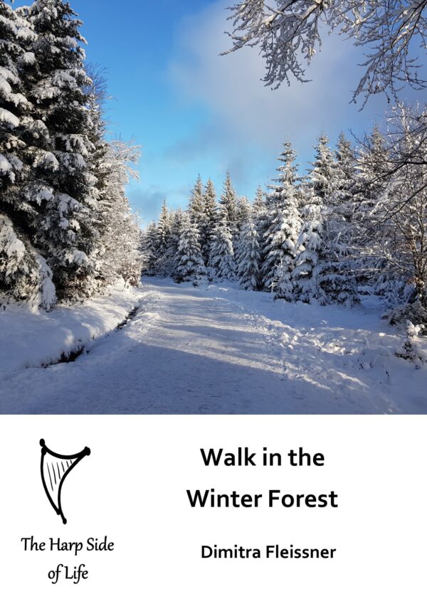 Walk in the Winter Forest